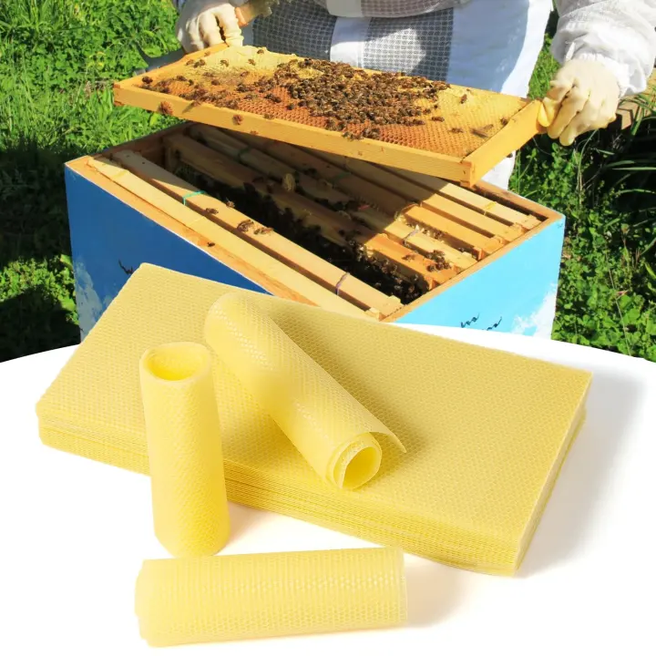 60-Pack Beeswax Sheets (16-1/3 in x 7-2/3 in) — Beehive Foundation & Candle Wax