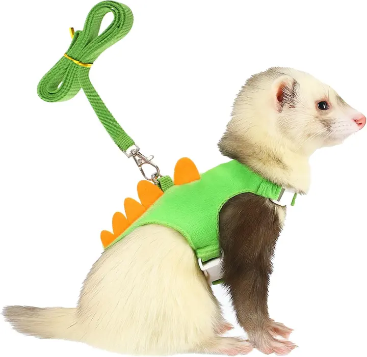 Dinosaur-Themed Small-Animal Harness and Leash Set (Vest Style)