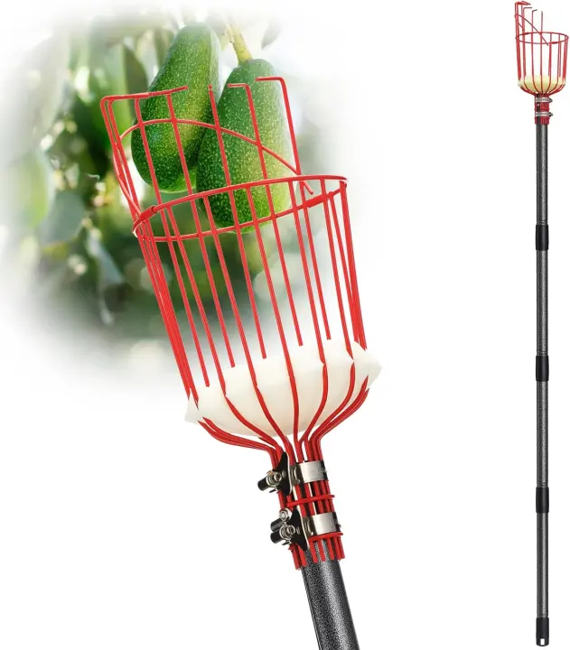 Telescoping Fruit Picker Pole with Metal Basket — Adjustable 35–150 in