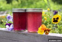How to Make Pansy Flower Jelly: Step-by-Step Recipe and Tips