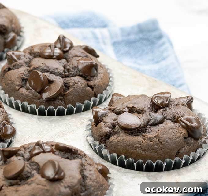 featured 6521