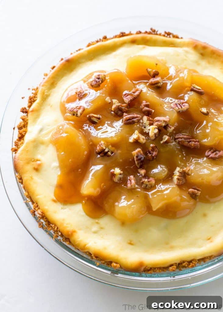 Caramel Apple Cheesecake - the easiest cheesecake with a graham cracker crust, apples, caramel, and nuts.