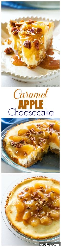 Caramel Apple Cheesecake - the easiest cheesecake with a graham cracker crust, apples, caramel, and nuts.