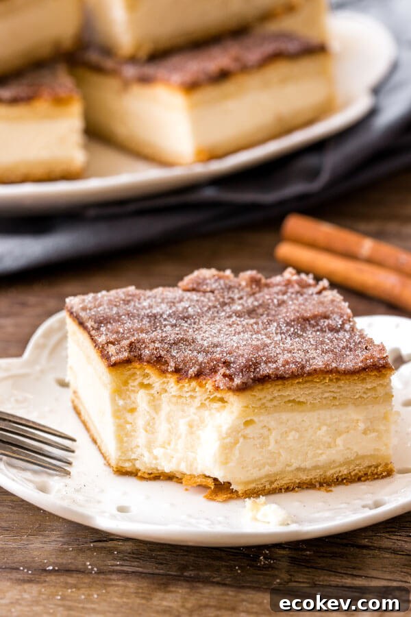 Sopapilla cheesecake with 2 layers of flaky pastry and cinnamon sugar topping.
