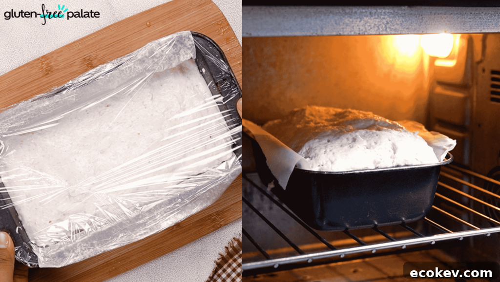 Gluten-free bread recipe steps 7 and 8: cover the loaf while it proofs, then bake for 60 to 65 minutes.