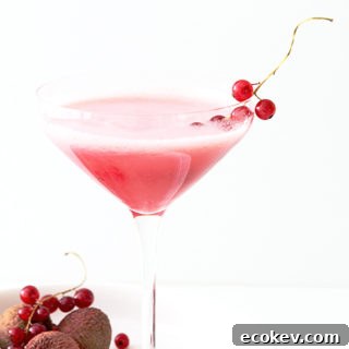Currant and Lychee Martini Slush