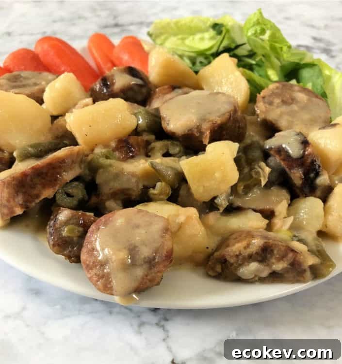 Cheesy brat stew on a plate with carrots and salad