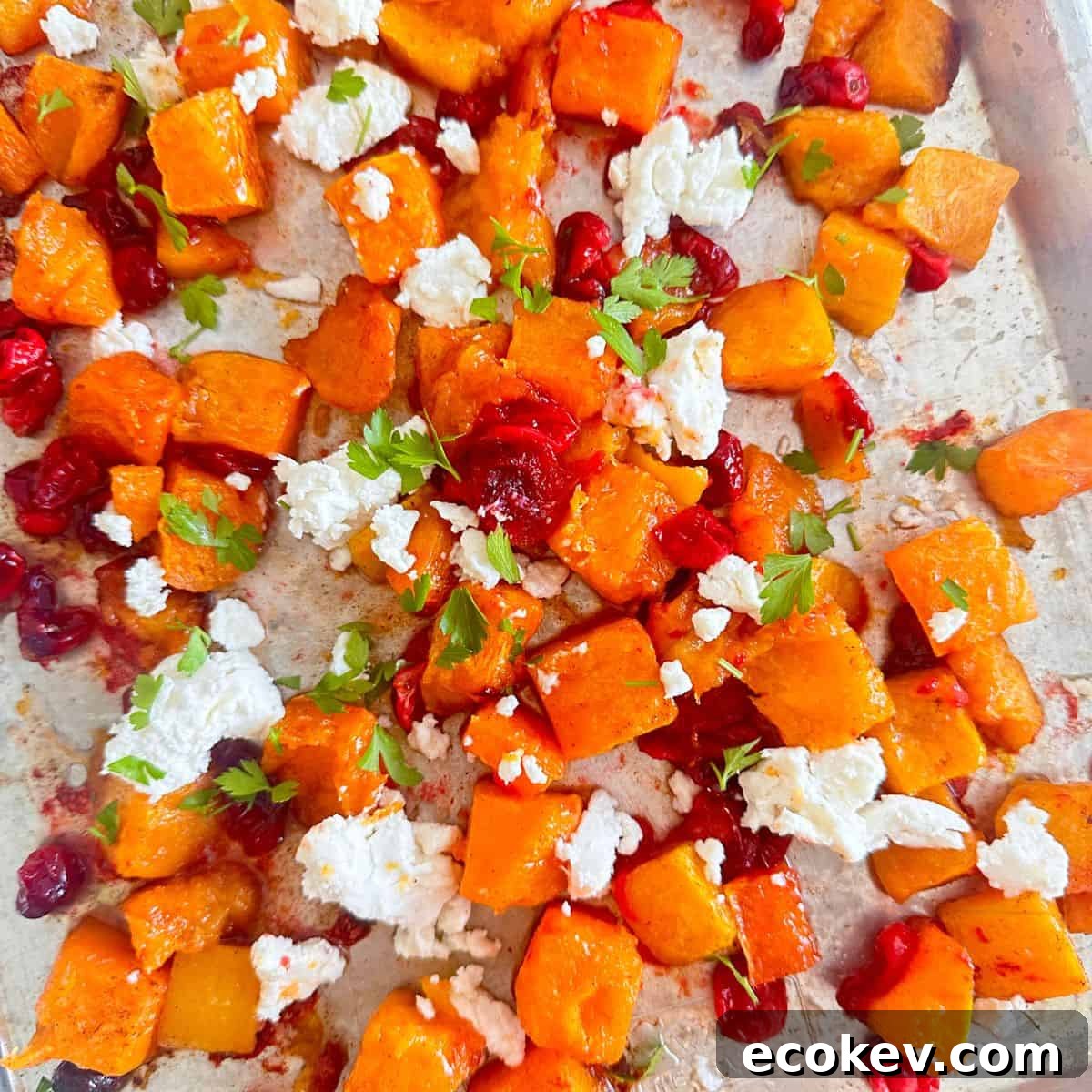 Sheet pan with roasted butternut squash and cranberries topped with goat cheese and fresh parsley.