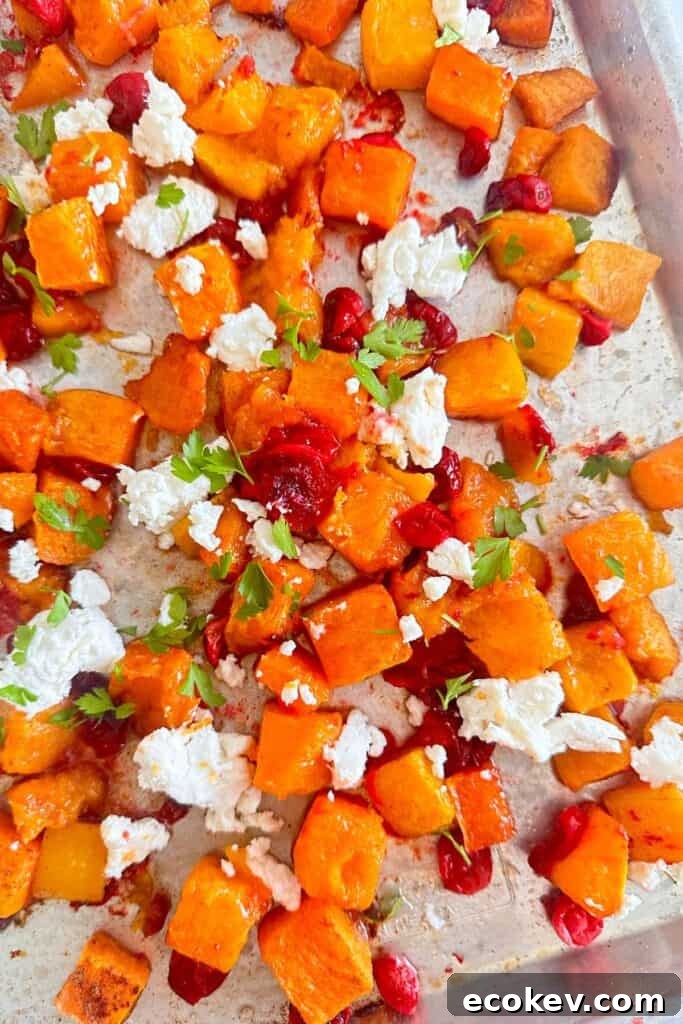 Sheet pan with roasted butternut squash and cranberries topped with goat cheese and fresh parsley.