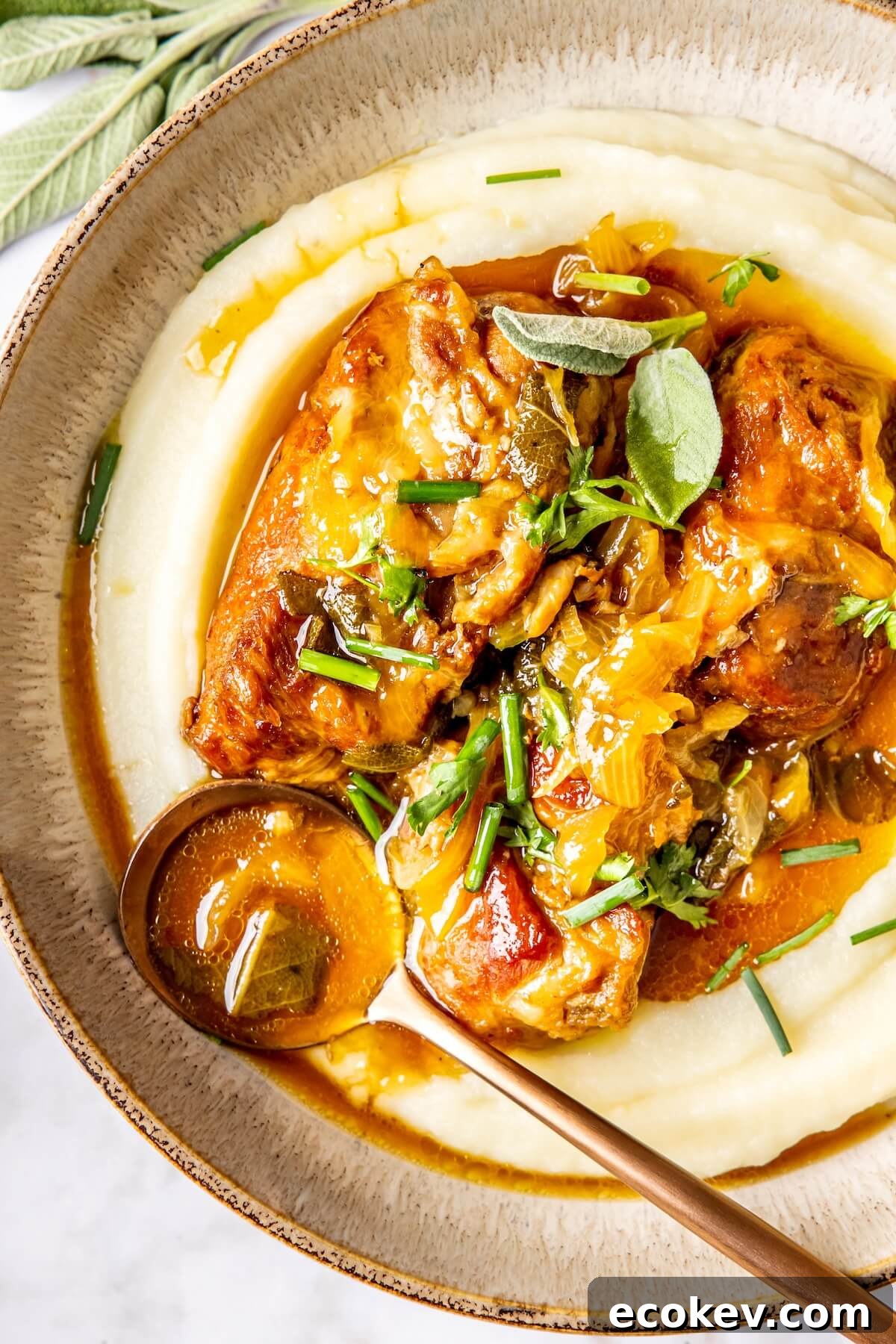 Cider Braised Pork Shoulder - Olivia Adriance
