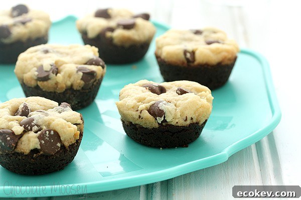 Chocolate Chip Cookie Brownie Bites