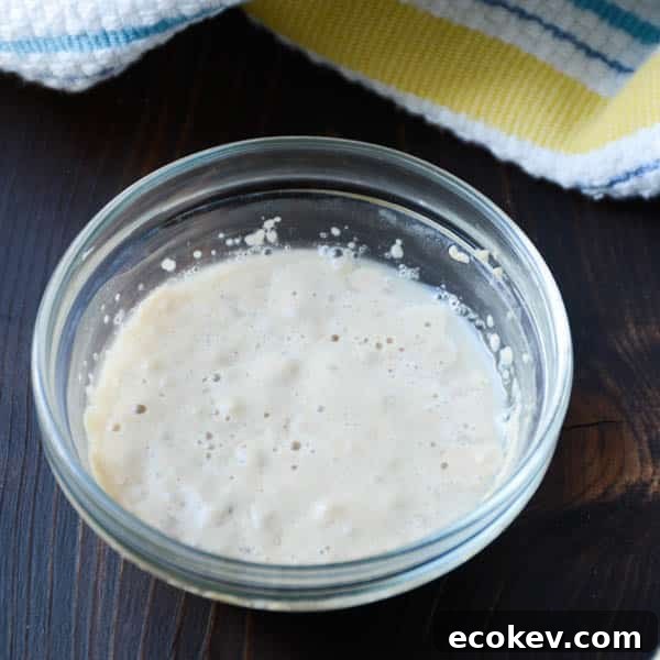 blooming yeast