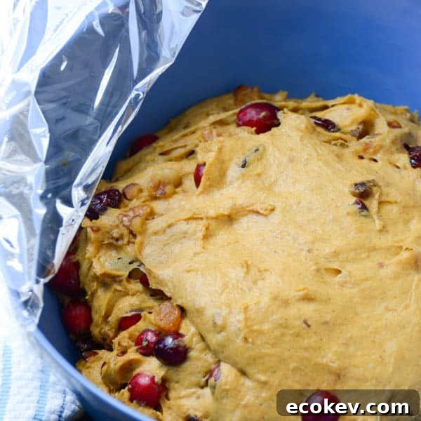 risen Pumpkin Walnut Cranberry Bread dough