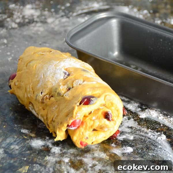 rolling Pumpkin Walnut Cranberry Bread dough into a cylinder.
