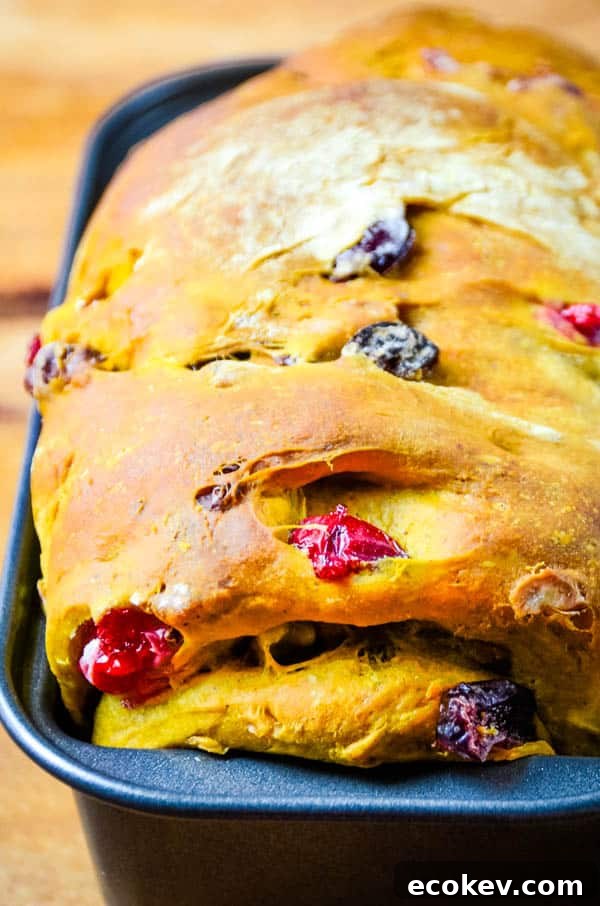 Baked Pumpkin Walnut Bread in the pan.