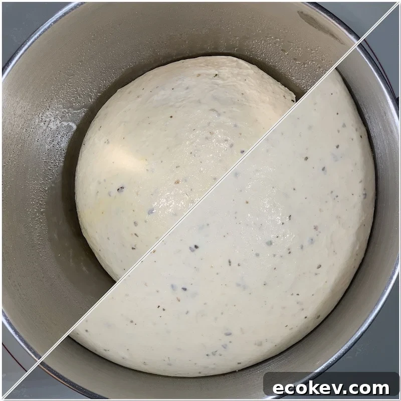 herb sourdough ciabatta roll dough before and after rising