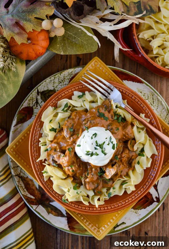 Beef Stroganoff on a bed of buttered egg noodles in fall dinnerware. There is a side dish of noodles and striped napkin.