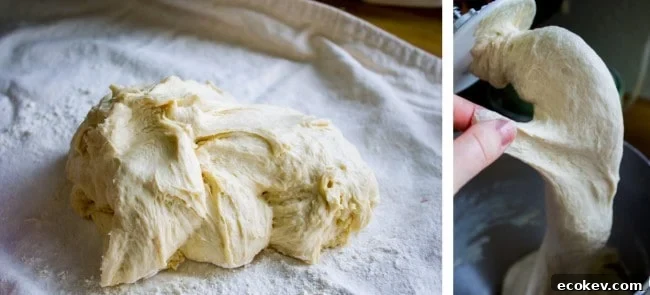 Kneading dough on a floured tea towel and testing its elasticity.