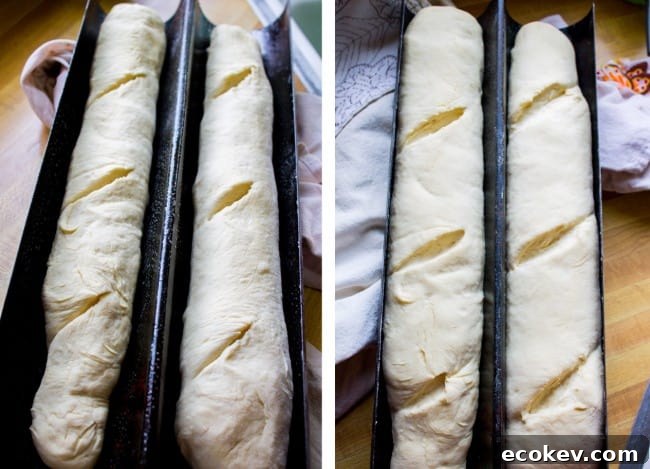 French bread loaves rising in a baguette pan.