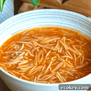Sopa de Fideo