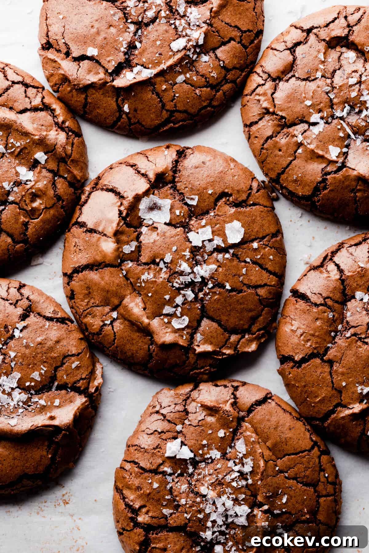 overhead super close up at brownie cookies with crinkled tops and flaked sea salt