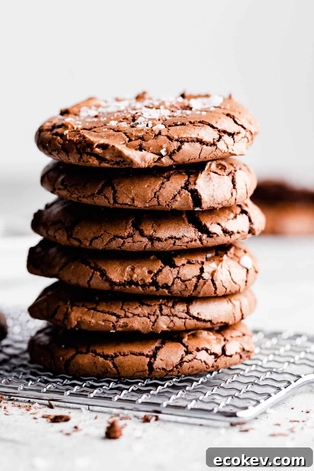 straight ahead angle super close up at a stack of 6 chocolate brownie cookies with flaked sea salt on top
