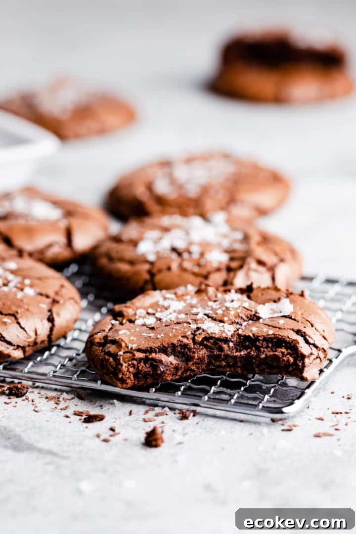 45 degree angle at brownie cookie with bite taken out of it