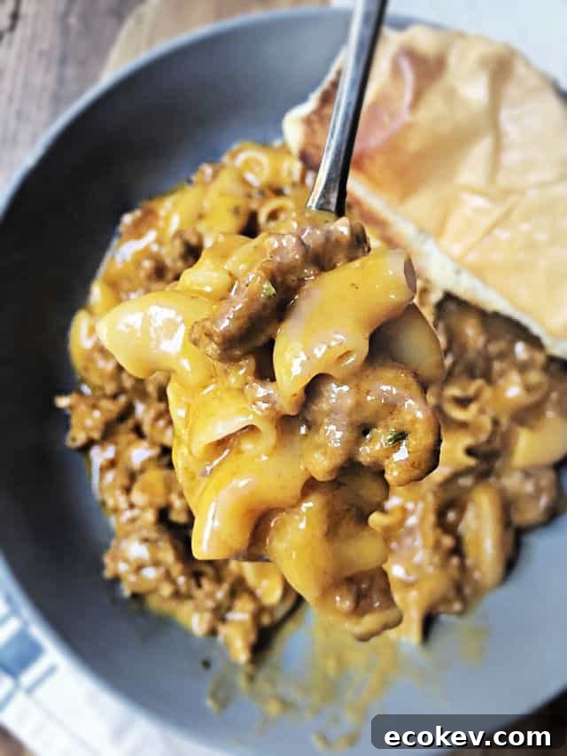 spoonful of hamburger helper close up bowl in background