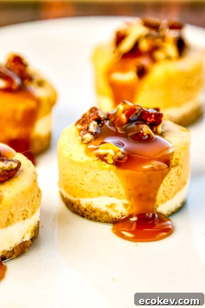 Pumpkin cheesecake topped with chopped pecans and a thick drizzle of caramel sauce
