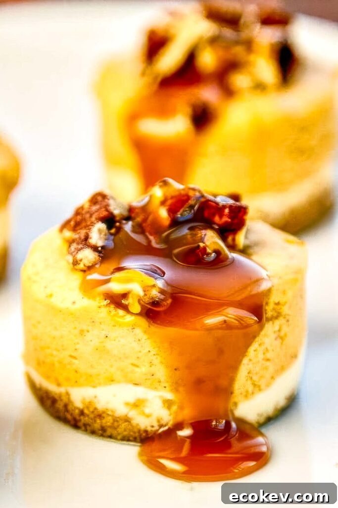 Mini pumpkin cheesecakes on a plate with pecan topping and golden caramel drizzle
