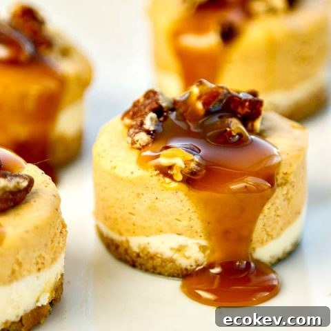 Mini Pumpkin Cheesecakes with Bourbon Pecan Caramel Sauce - so simple yet so pretty and delicious! Great for serving a crowd!