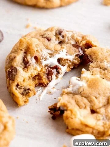A s'mores cookie cut in half showing the melted chocolate and gooey marshmallows inside.