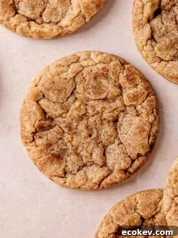 A chewy snickerdoodle cookie made with sourdough discard.