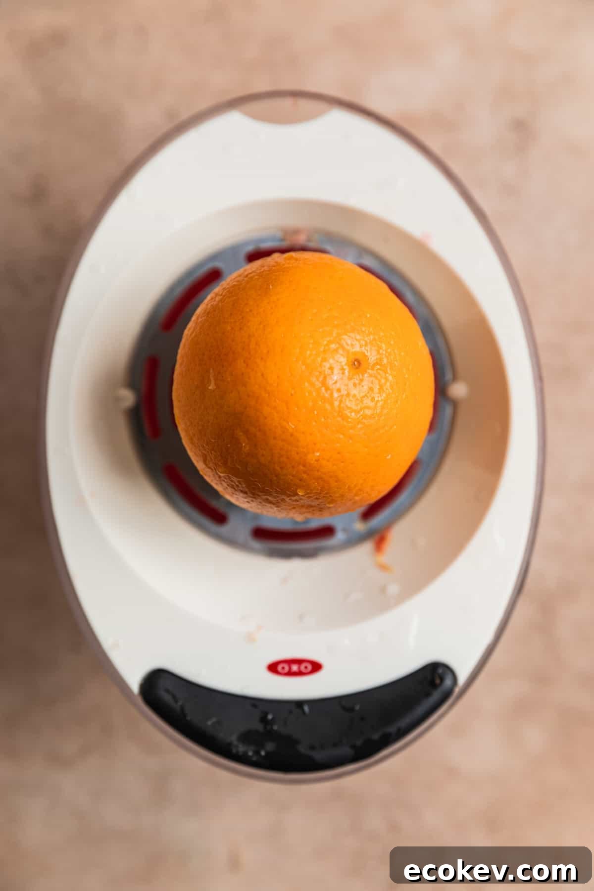 Blood orange on juicer.