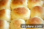 Three rows of Baked Lunch Lady Cafeteria Rolls for a total of nine rolls.