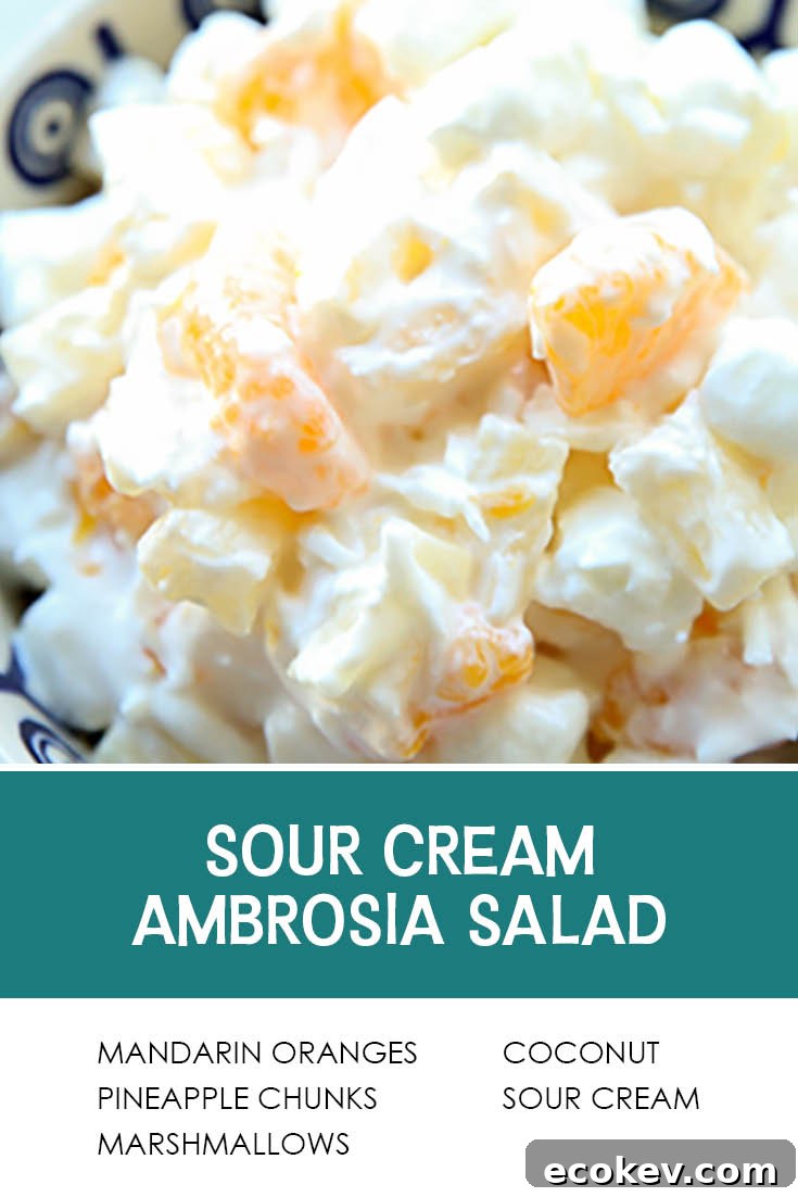 Pinterest picture of Sour Cream Ambrosia Salad with the text of the ingredients at the bottom, and the text of the title of the recipe above it.