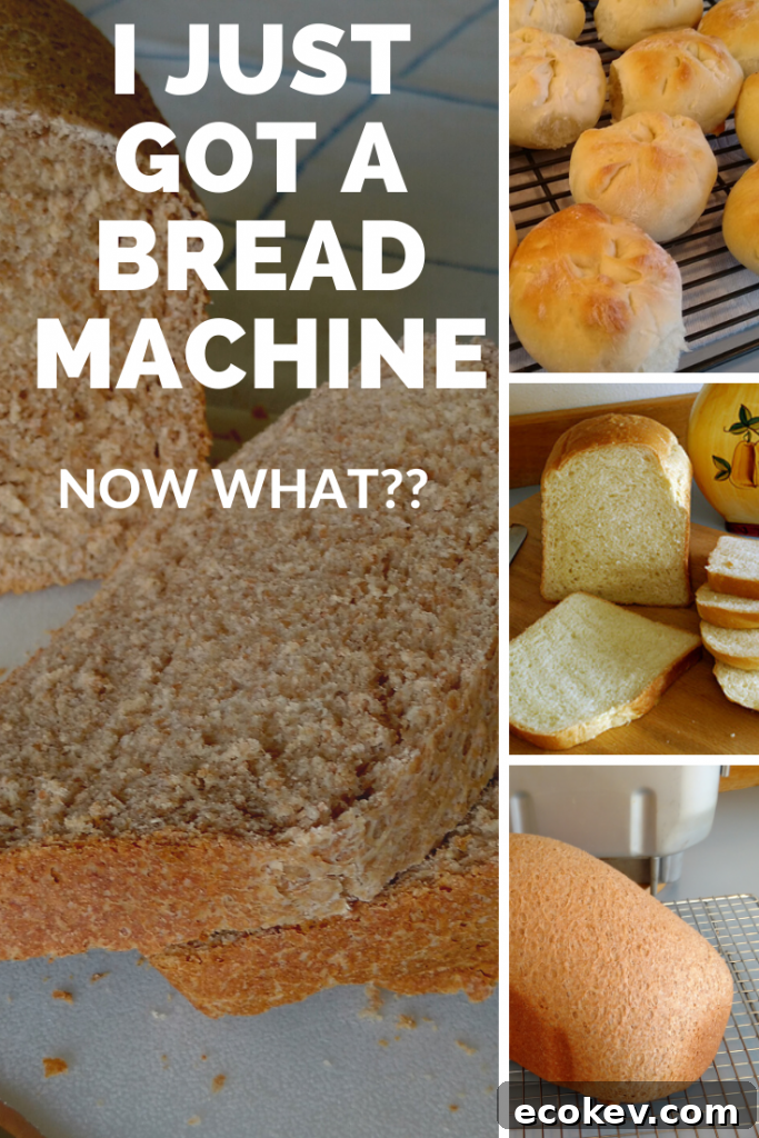 Bread Machine Tips for Beginners 