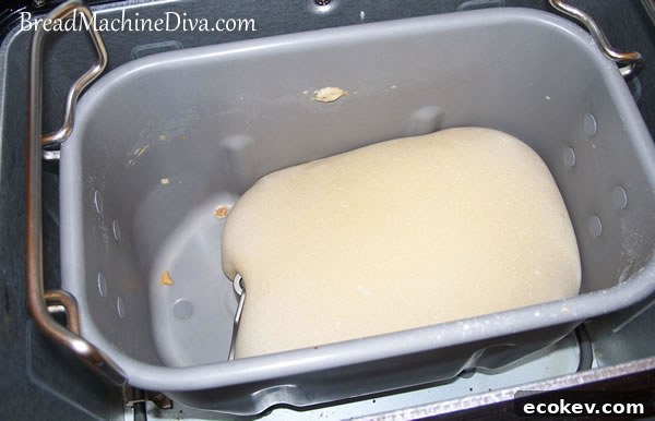 Forgot to add yeast