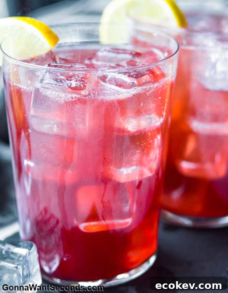 Two glasses of Sloe Gin Fizz garnished with a lemon wheel each