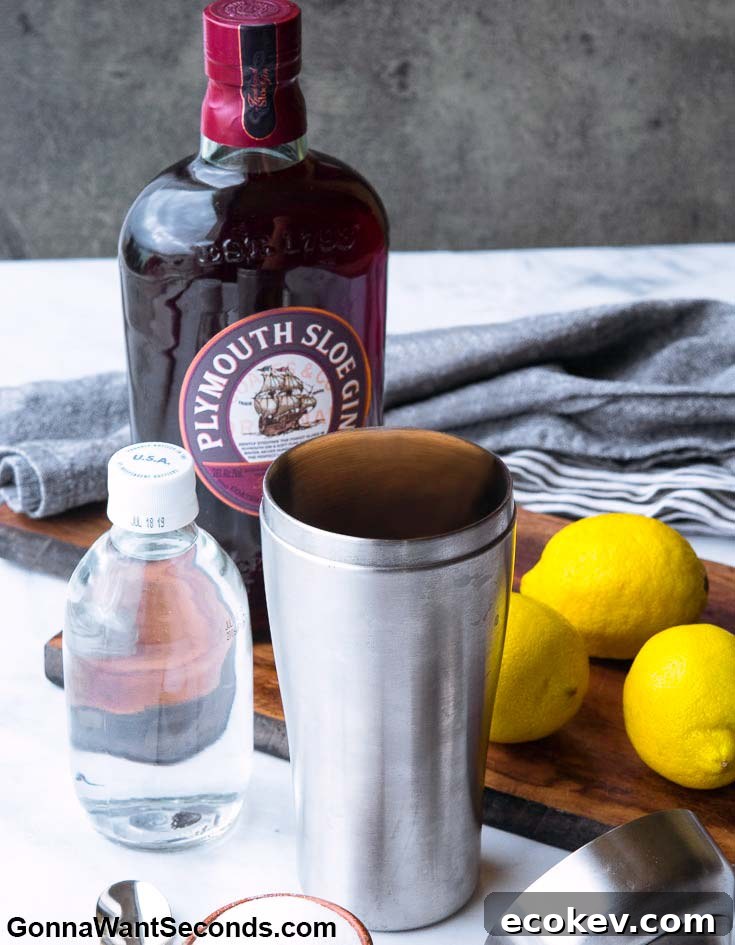 Step By Step How To Make Sloe Gin Fizz