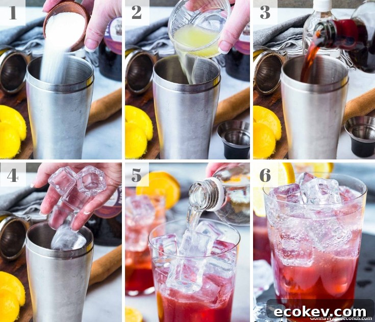 Step By Step How To Make Sloe Gin Fizz