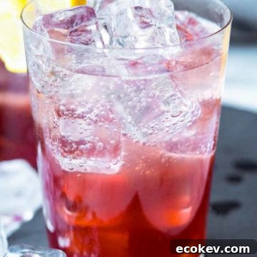A glass of Sloe Gin Fizz garnished with lemon wheel