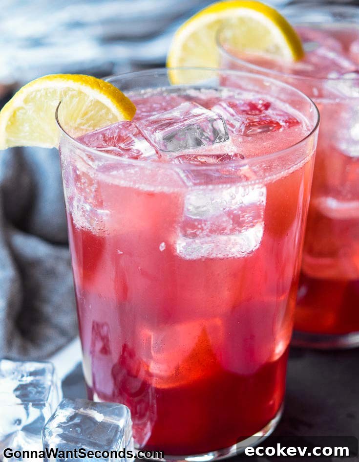 Two glasses of Sloe Gin Fizz garnished with a lemon wheel each