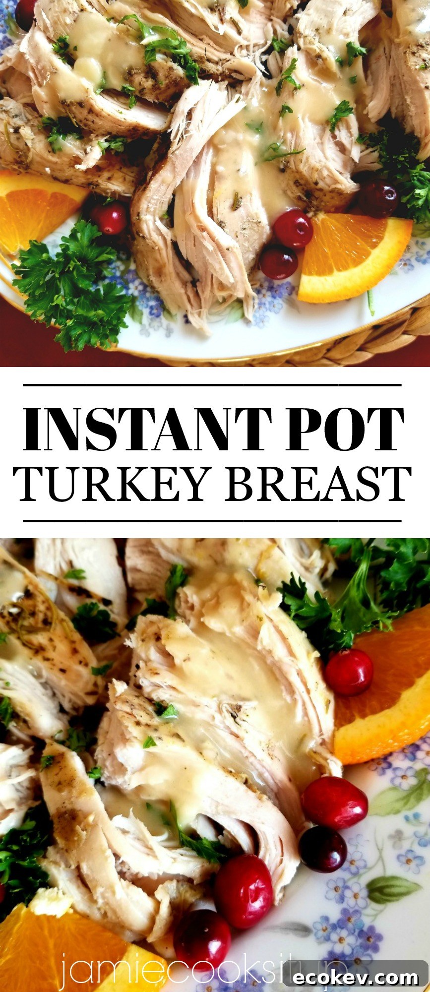 Instant Pot Turkey Breast