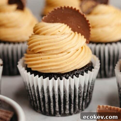Chocolate cupcakes frosted with peanut butter frosting and topped with Reese's peanut butter cups.