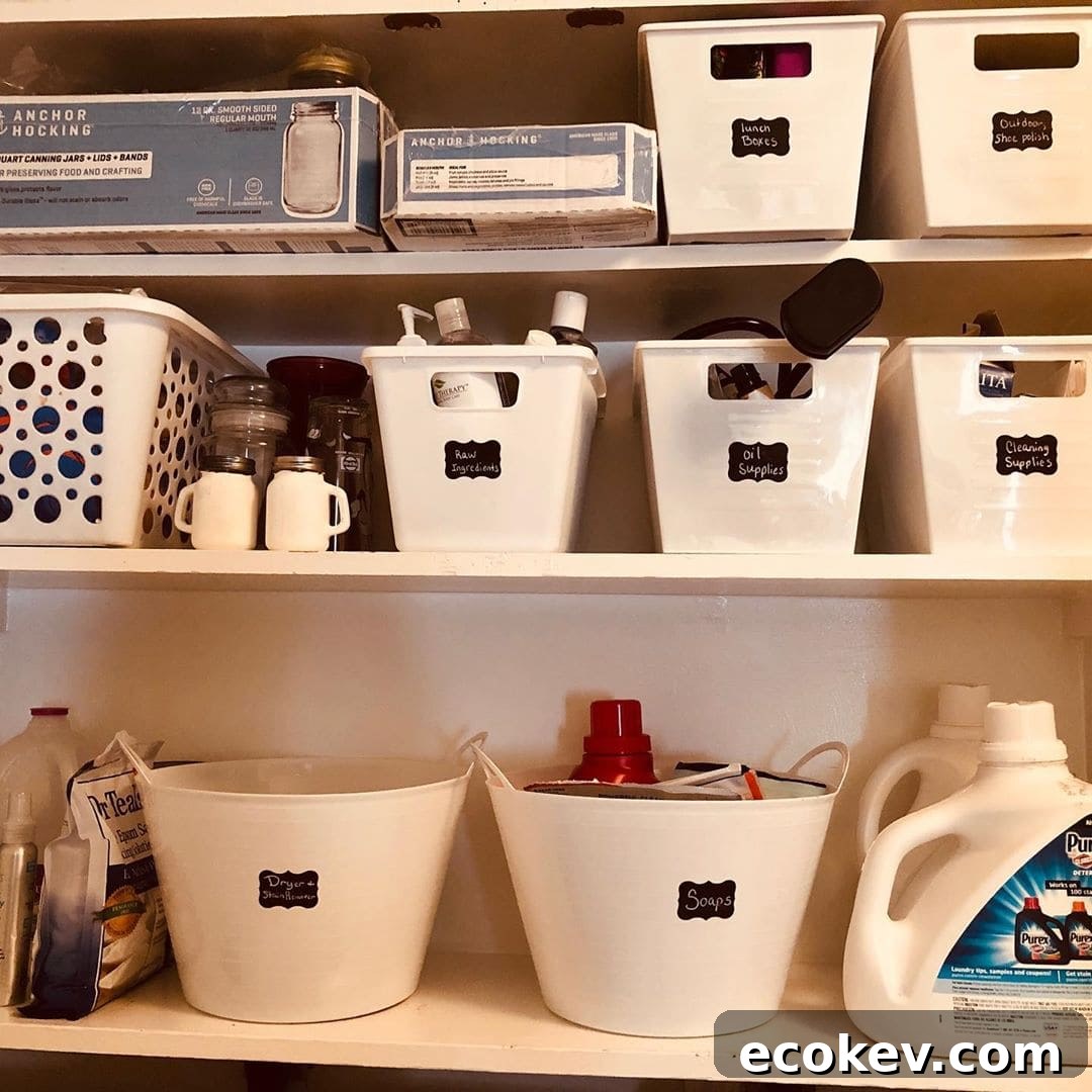 storage containers