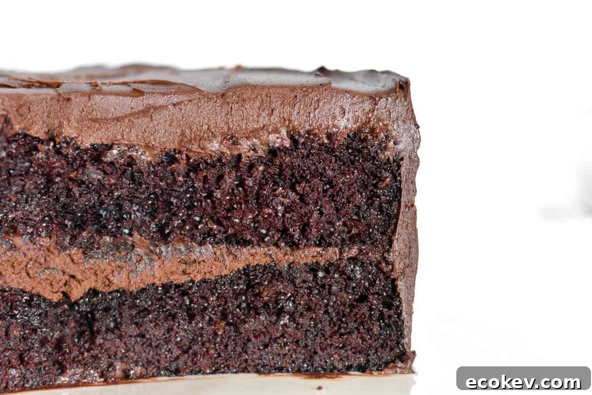 cross section of whole chocolate cake. 