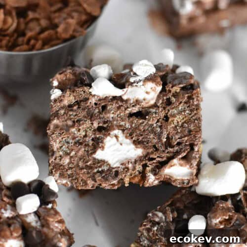 cocoa krispie square propped on other treat.