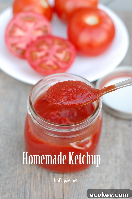homemade ketchup | NoBiggie.net