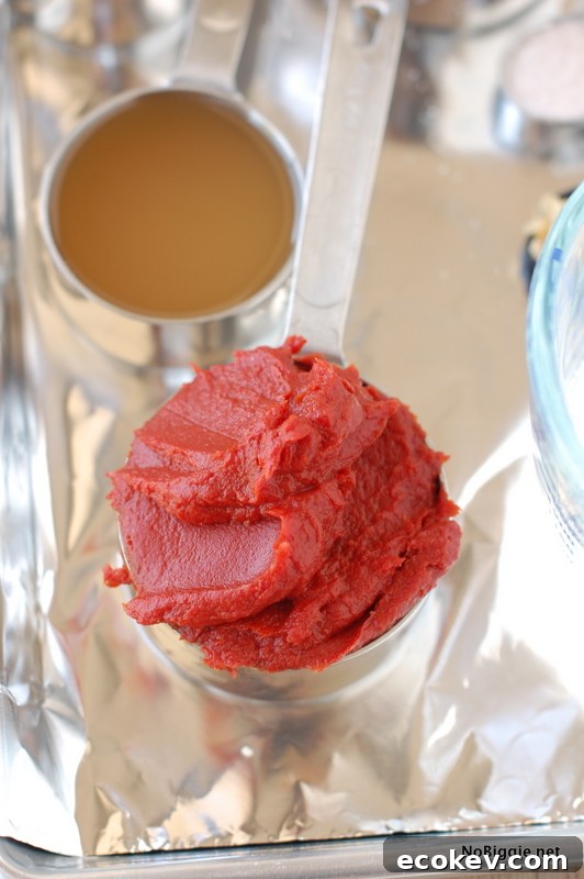 Homemade ketchup recipe | NoBiggie.net